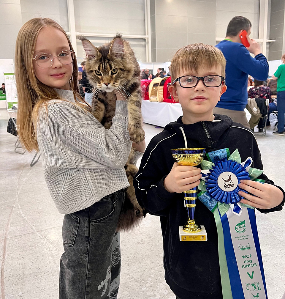 Spring Cat Show выставка кошек