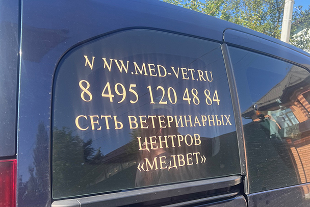Донорство крови