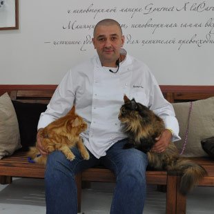 Purina Gourmet food Advertisement