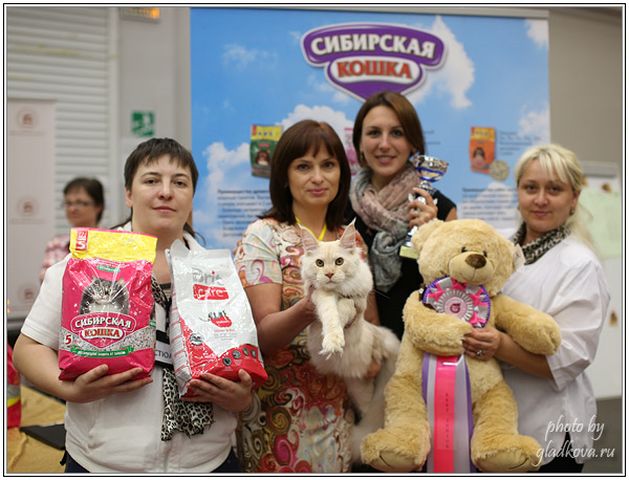 ICH ICU Caramel's Ivan Tsarevich, мейн кун. питомник кошек породы Кармель 
