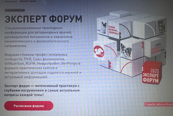 Эксперт форум 